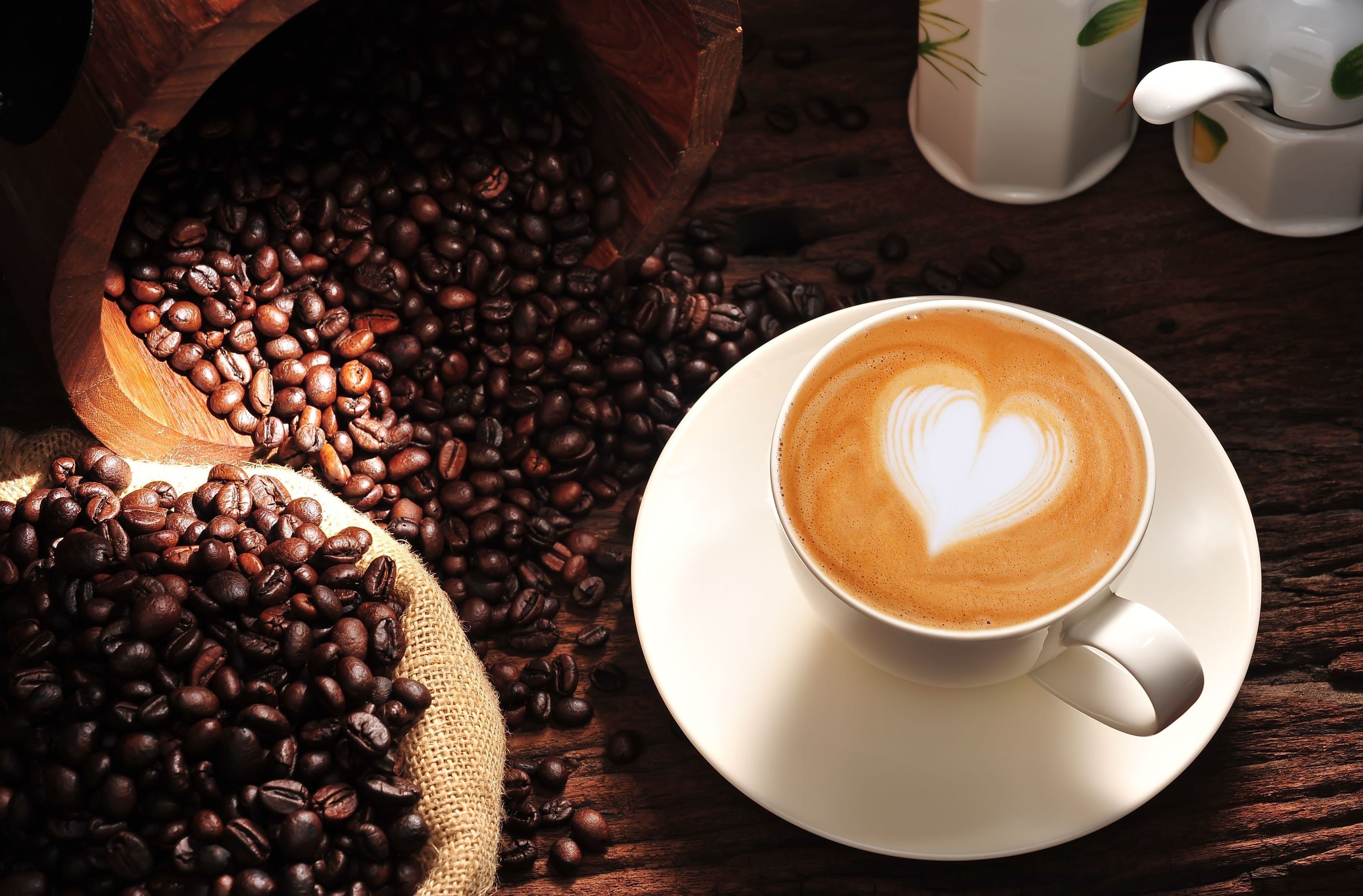 barista